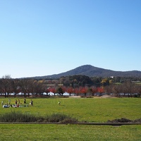 Patrick White Lawns, Canberra