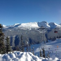 Whistler