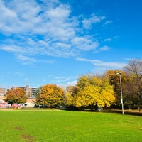 Saltonstall Park, Boston, MA