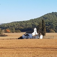 Cerdanyola del Vallès