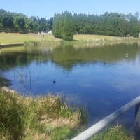 Bicentennial Park, Sydney