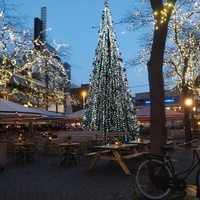 Grote Markt, Den Haag