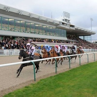 Wolverhampton Racecourse, Wolverhampton