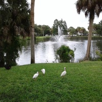 Sims Park, New Port Richey, FL