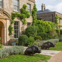 Rockkonzerte in THE PIG Hotel, Bath THE PIG Hotel, Bath