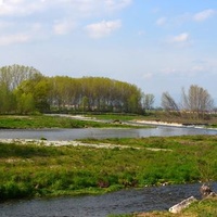 Romano di Lombardia