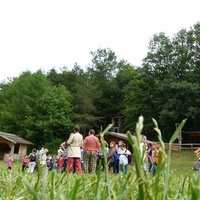 Keltenfestplatz, Schwarzenbach