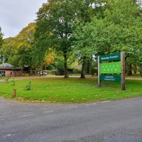 Walesby Forest, Nottingham