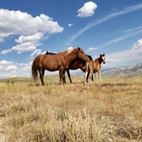 Green River, WY