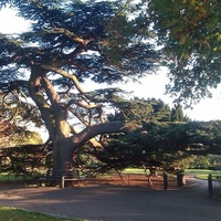 Chalkwell Park, Southend-on-Sea