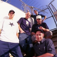 Strife 2025 Strife
