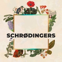 Schrødingers, Hamburg