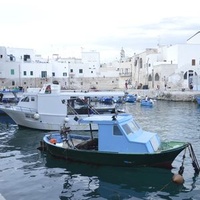 Monopoli