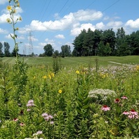 Rockkonzerte in Pine View Golf Course, Monticello, IN Pine View Golf Course, Monticello, IN
