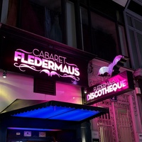 Fledermaus, Wien