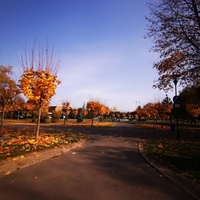Rockkonzerte in Parcul Sportiv, Brașov Parcul Sportiv, Brașov
