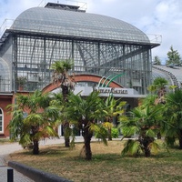 Palmengarten Musikpavillon, Frankfurt am Main