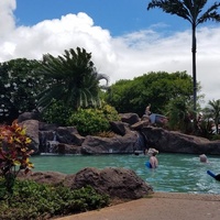 Rockkonzerte in Poipu Beach Athletic Club, Koloa, HI Poipu Beach Athletic Club, Koloa, HI