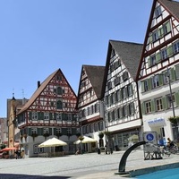 Riedlingen