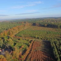 Cannock Chase Forest, Rugeley