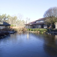 Lichtaart