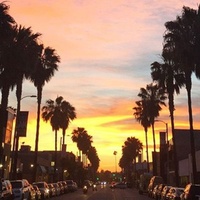 Abbot Kinney Blvd, Los Angeles, CA