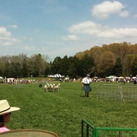 Historic Rural Hill, Huntersville, NC