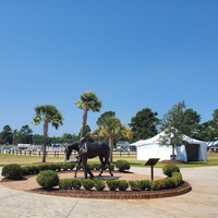 Bruce's Field at Aiken Horse Park, Aiken, SC
