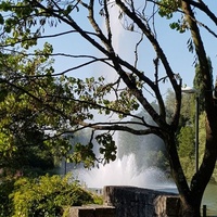 Park in Grünen, Basel