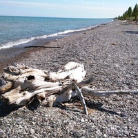 Lambton Shores