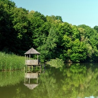 Rezervația naturală "Codrii", Losova