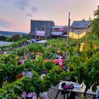 Wein am Stein, Würzburg