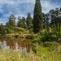 Bedgebury National Pinetum, Goudhurst