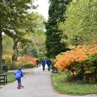 Hazlehead Park, Aberdeen