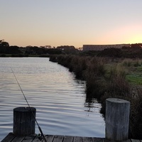 Torquay Common, Torquay, VIC