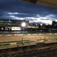 Rockkonzerte in Hipodromo de Las Americas, Mexiko-Stadt Hipodromo de Las Americas, Mexiko-Stadt