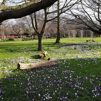 Haggerston Park, London